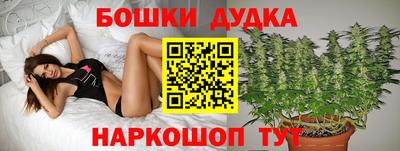 крисы Конаково