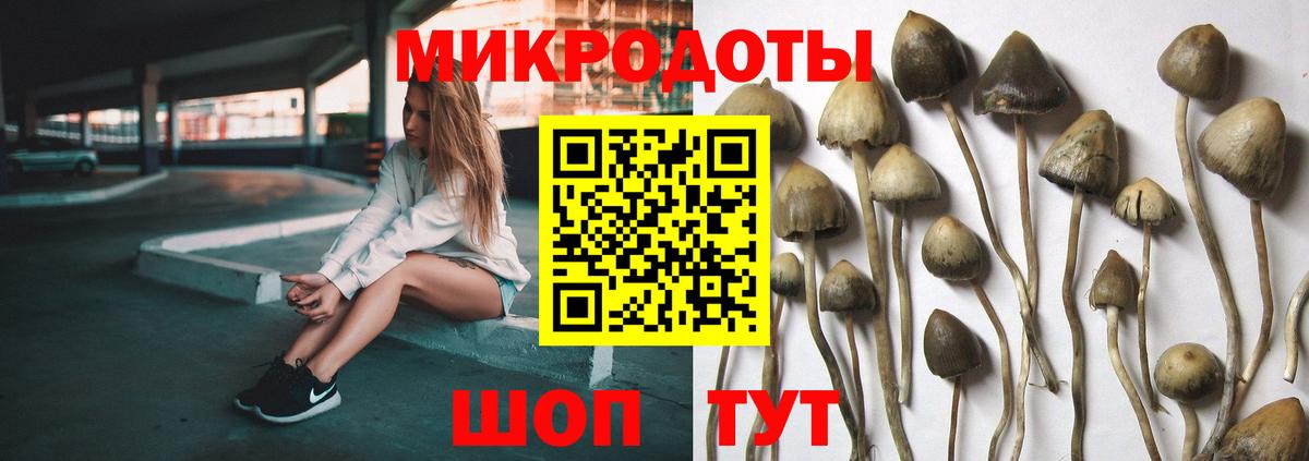 Галлюциногенные грибы прущие грибы  Вход с VPN  Галлюциногенные грибы MAGIC MUSHROOMS  Краснодар 